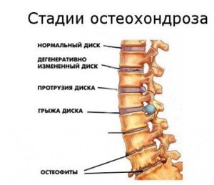 Выполнение процедуры терапевта